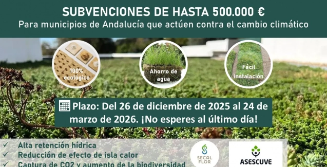 Imagen4-002