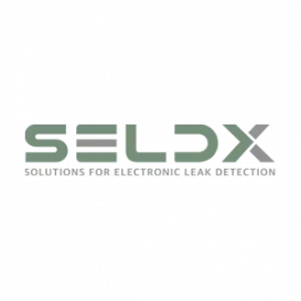 SELDX_LOGO-WEB