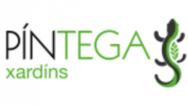 pintega