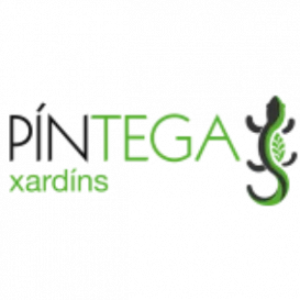 pintega