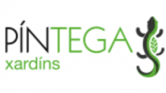 pintega